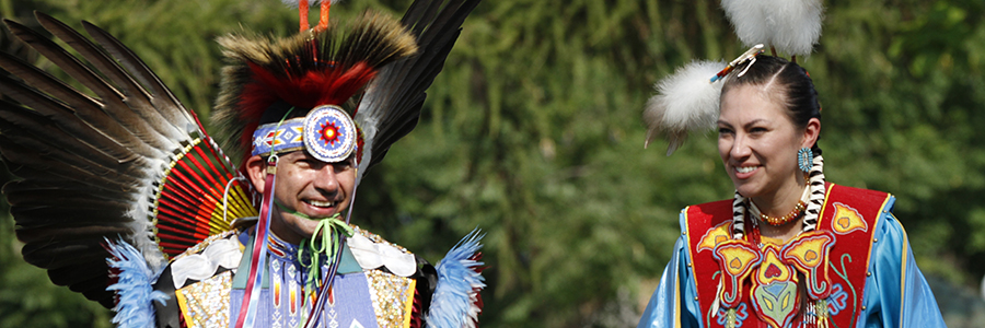 Things to do at the Harvest Pow Wow